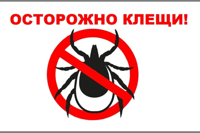 Внимание! Клещи!.
